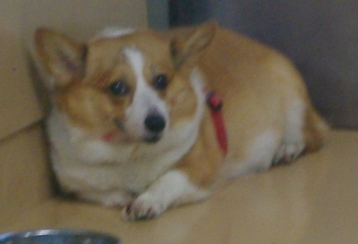 IMGP8691.JPG
