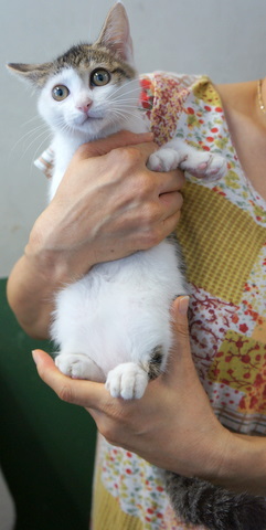 DSC04859.JPG