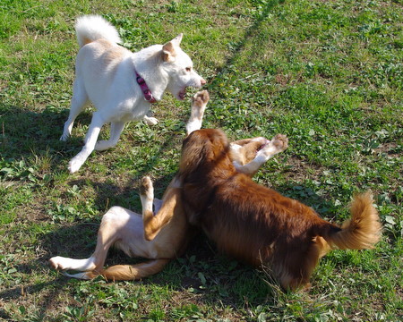IMGP0749.JPG