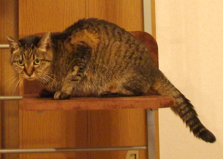 IMGP1517.JPG