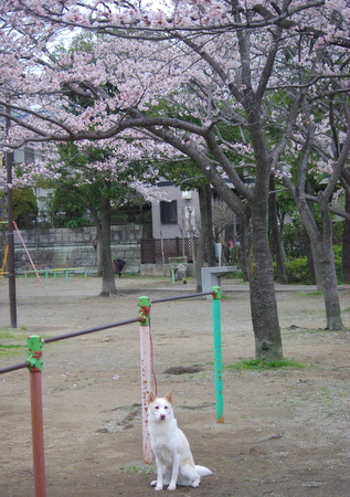 IMGP4288.JPG