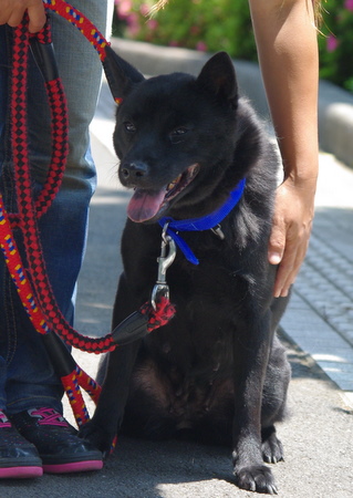 IMGP5513.JPG