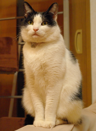 IMGP8976.JPG