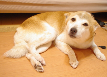 IMGP9014.JPG