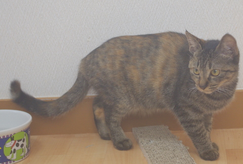 IMGP9605.JPG