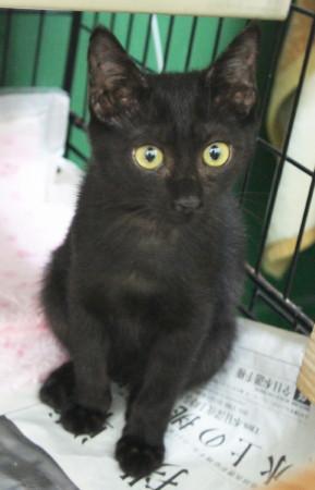 jiji1.JPG