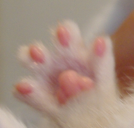 IMGP0269.JPG