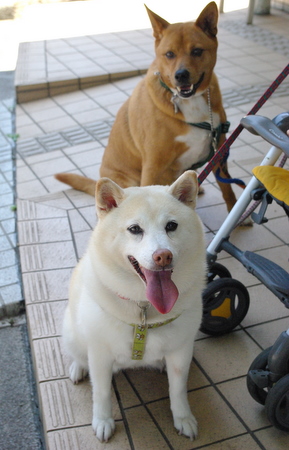 IMGP1320.JPG