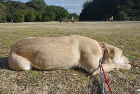 IMGP3610.JPG