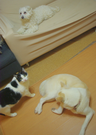 IMGP3811.JPG